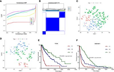 Three Immune-Associated Subtypes of Diffuse Glioma Differ in Immune Infiltration, Immune Checkpoint Molecules, and Prognosis